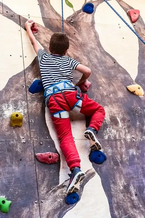Outdoor Net Play Area