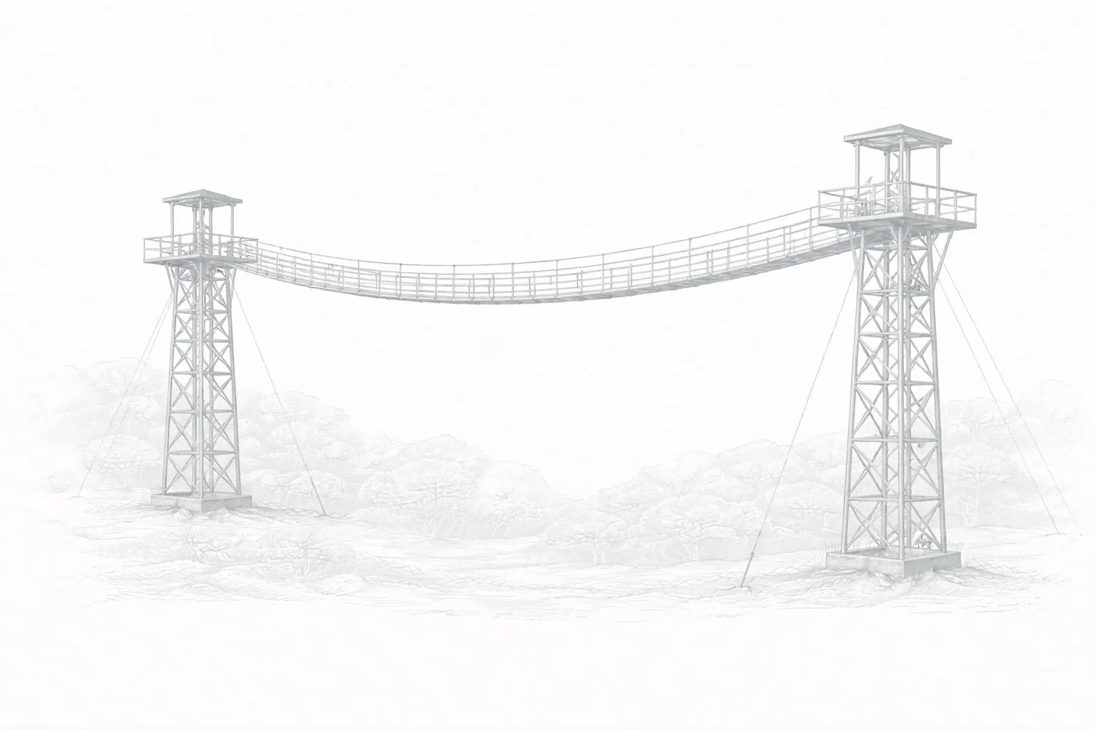Canopy Walk and Burma Bridge