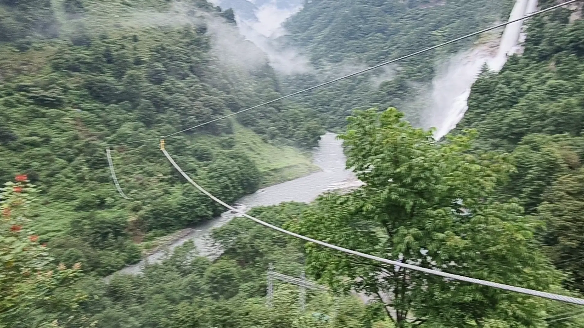 Zipline cables curving over the forest canopy at Jang Falls