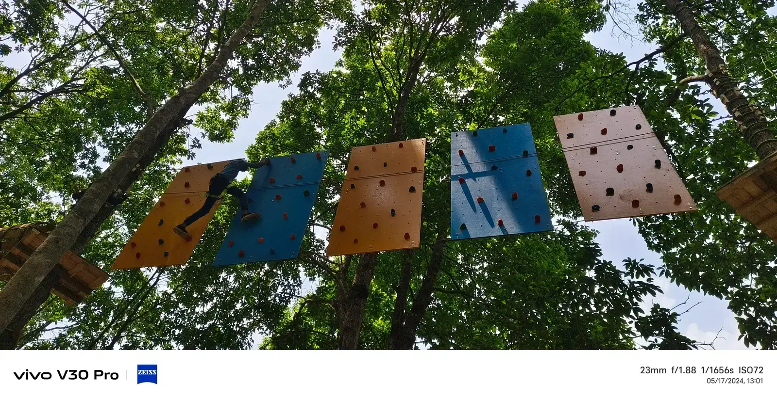 Tree-mounted climbing panels with steel augmentation at Ban Jungle forest park
