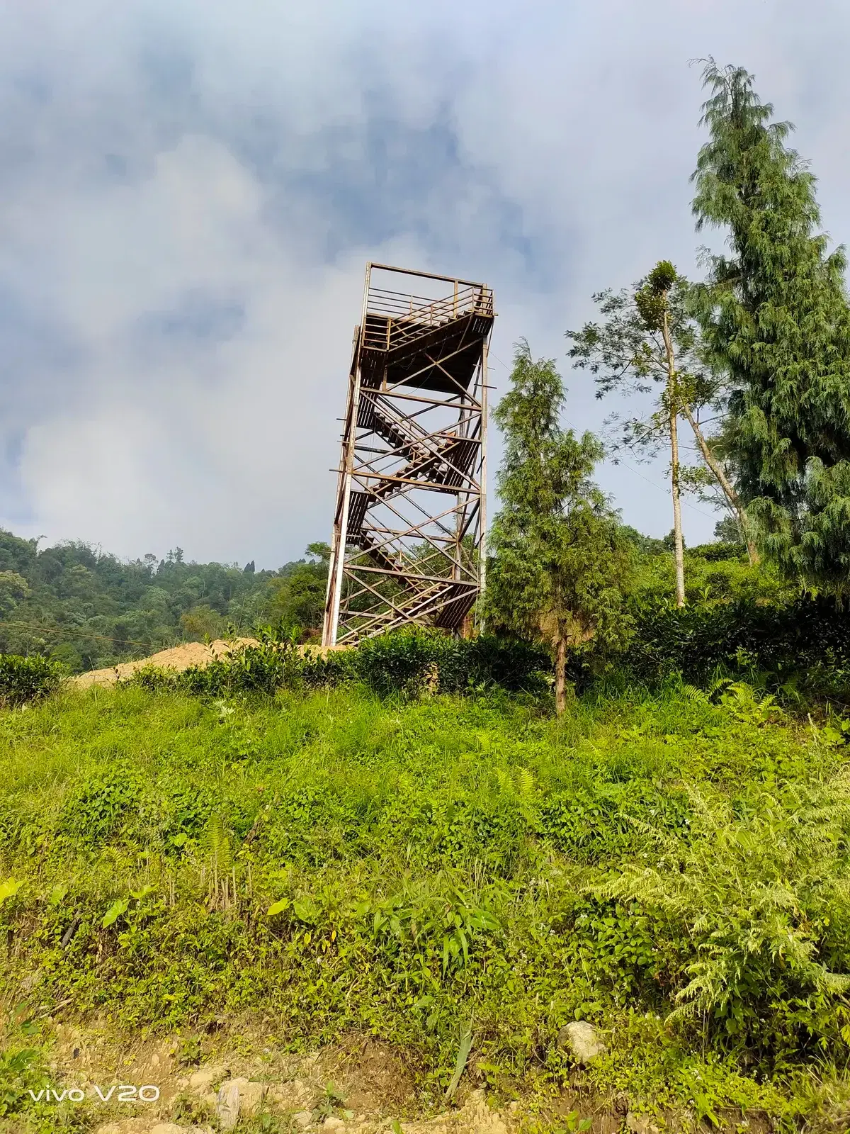 Zipline tower in the tea-garden hills of Ilam, eastern Nepal