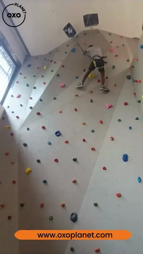 Climber training on the MSPL Baldota private gym climbing wall