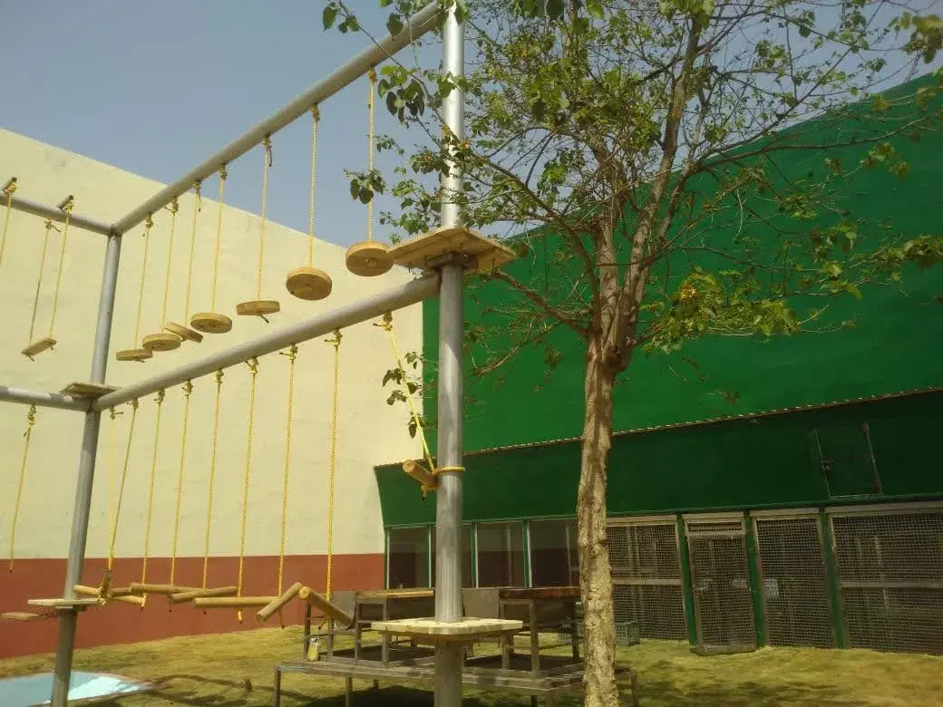 Adventure-park-@-Jamnagar-1