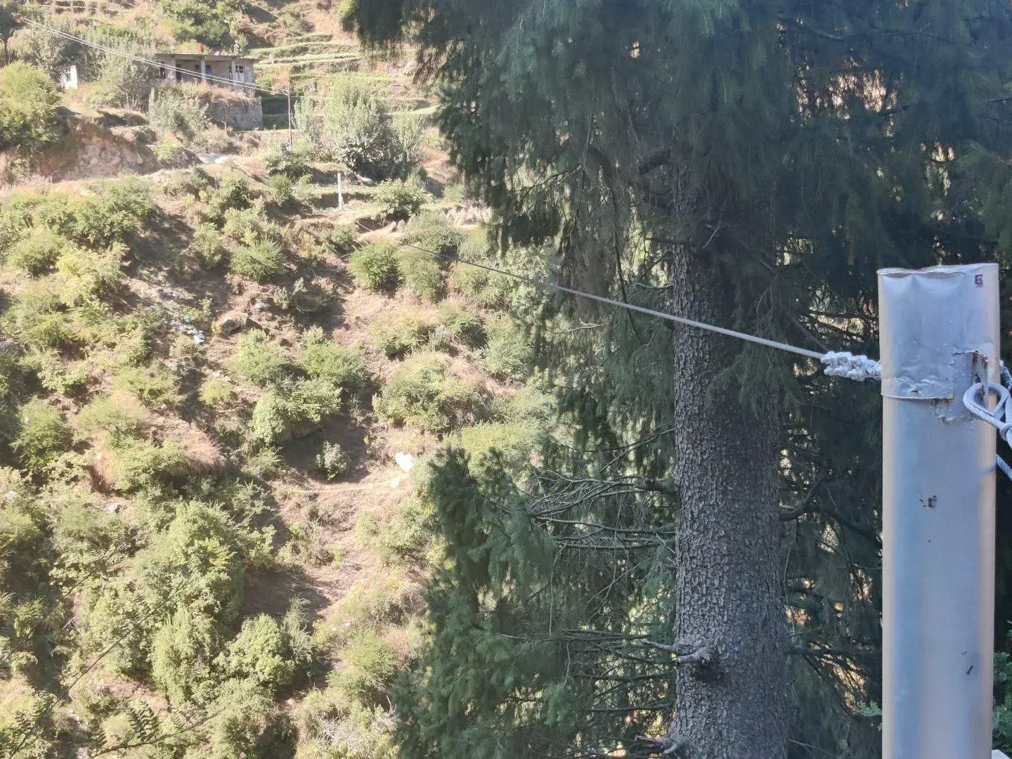Small-Zipline-Himachal-5