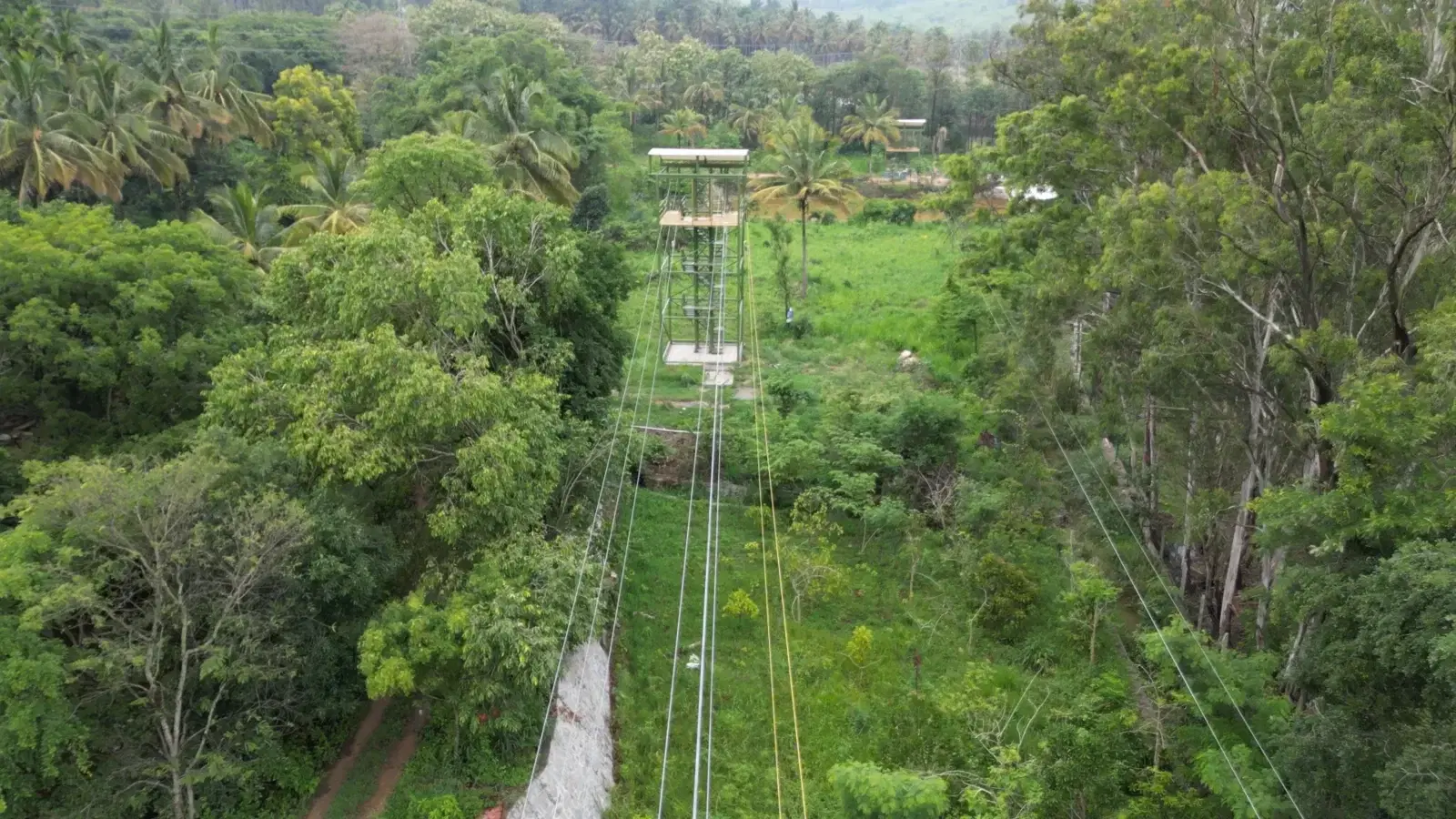 Zipline corridor through the tree canopy at Vasnudaraa Farms