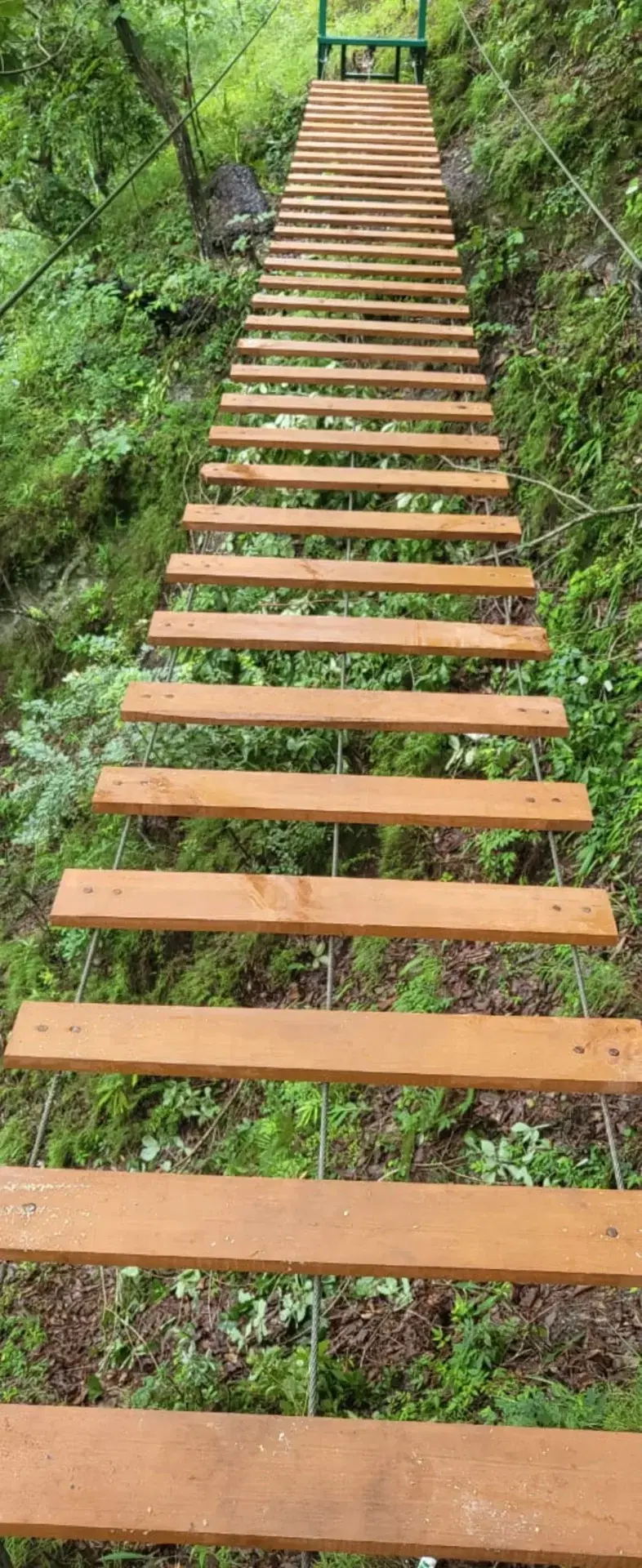 Burma bridge with plank steps through the forest at Tak Tai Home Stay, Rupa