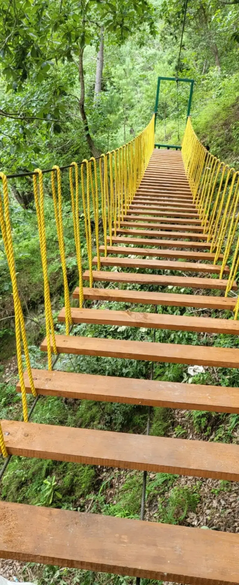 Hanging bridge with protective yellow netting at Tak Tai, Arunachal Pradesh