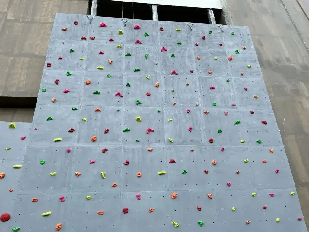 Colour-coded climbing holds on the Ambuja Neotia wall panels