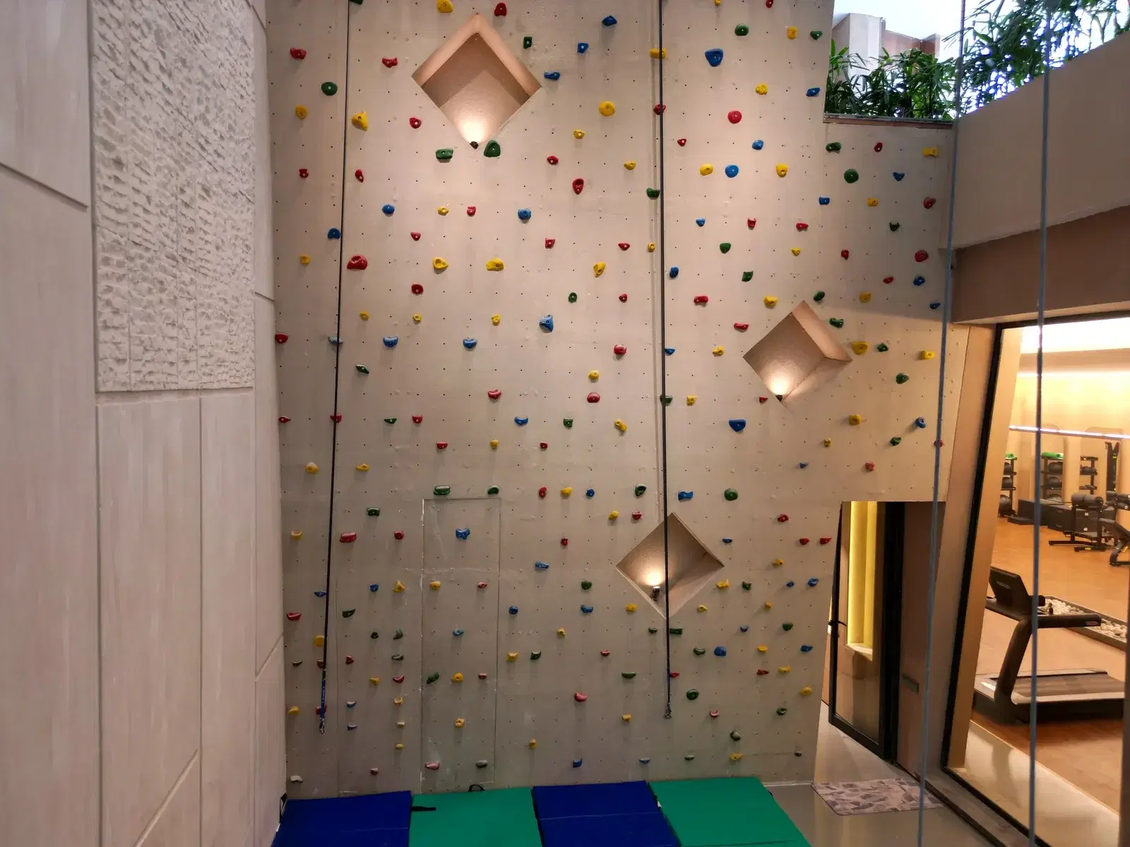 Designer climbing wall integrated into the luxury residence interior at Hailey Road, Delhi