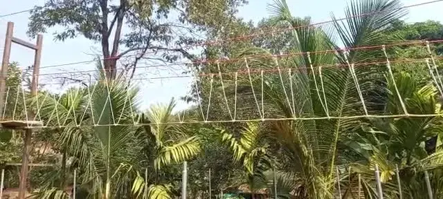Ropes course span across the farm resort at Caniggia Farms