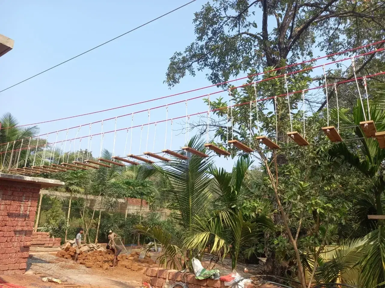 Burma bridge ropes course among the palms at Caniggia Farms, Goa