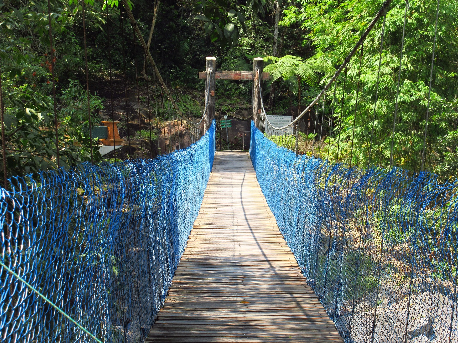 Canopy Walk and Burma Bridge